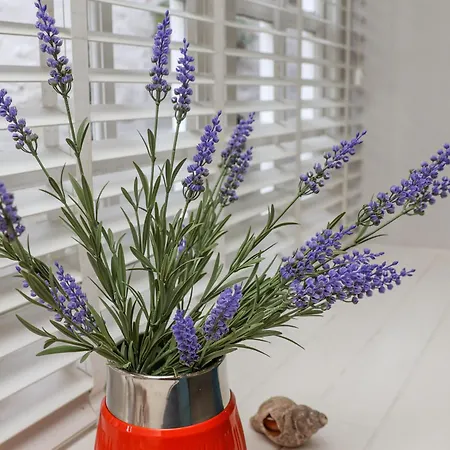 Jet Prázdninový dům *